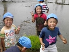 田植え